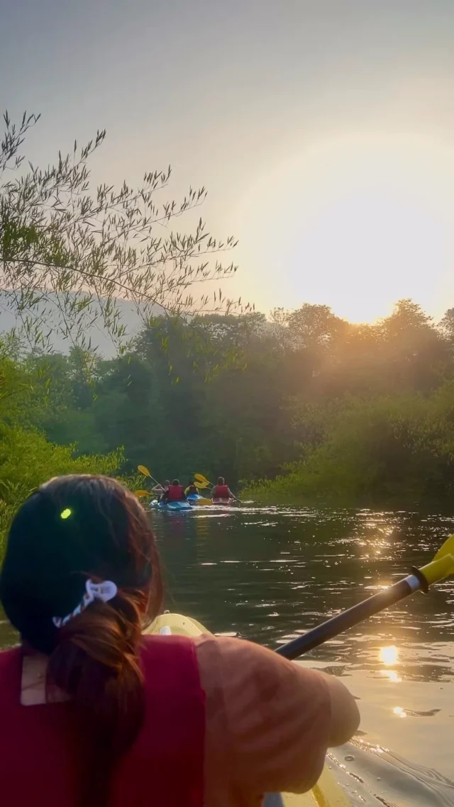 A guest kayaks towards the low sun on a quiet river